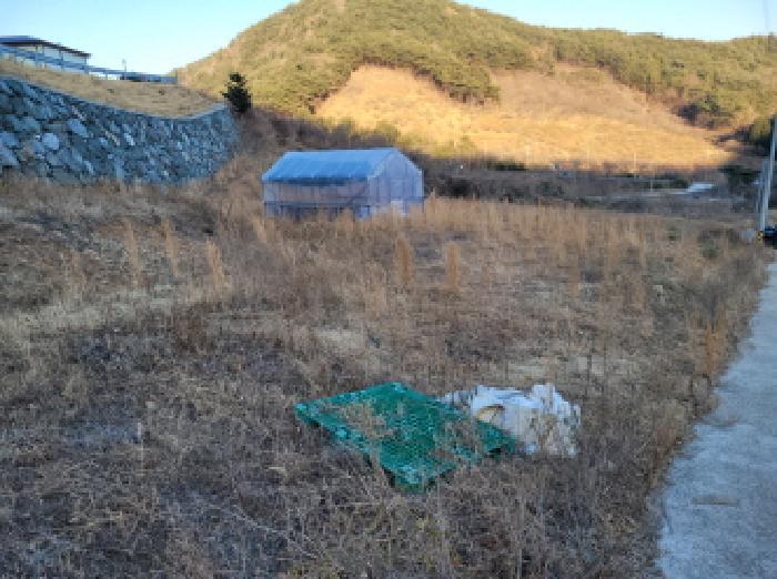 전라남도 광양시 봉강면 부저리 336-24 전 경매 사진 19