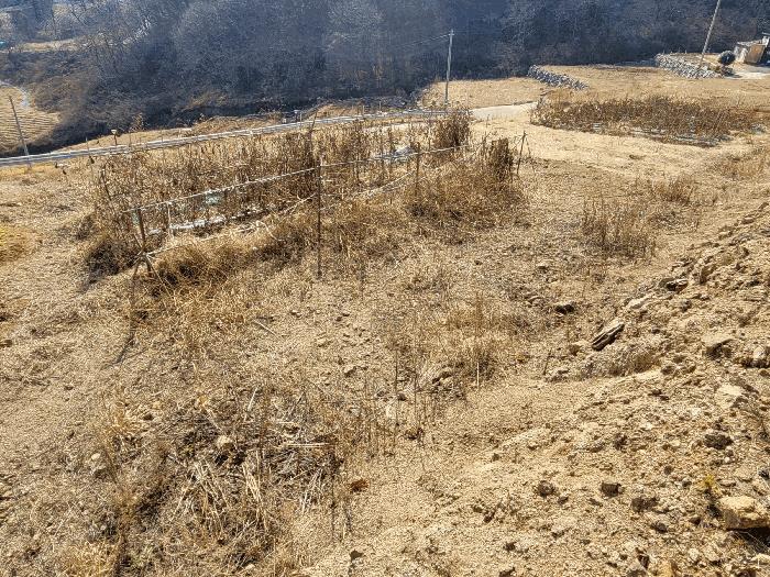 전라남도 광양시 전