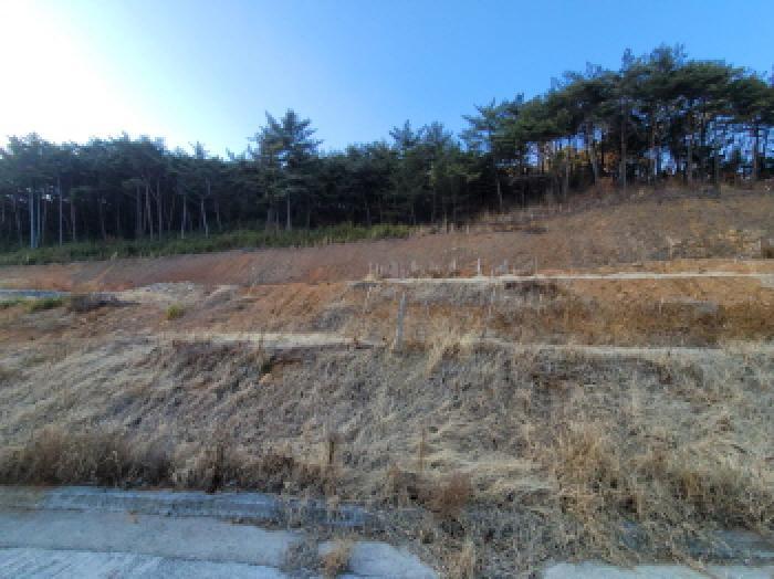 전라남도 광양시 봉강면 부저리 336-25 전 경매 사진 24