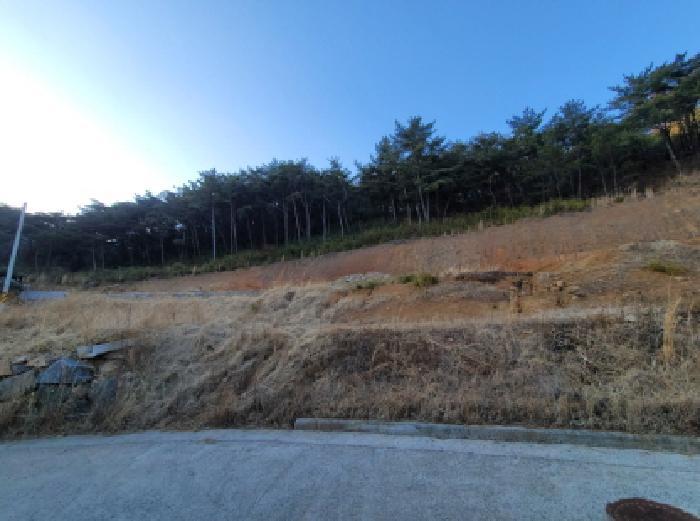전라남도 광양시 봉강면 부저리 336-25 전 경매 사진 25