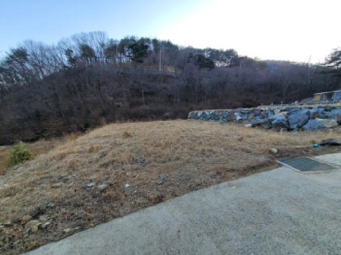 전라남도 광양시 봉강면 부저리 336-25 전 경매 사진 27