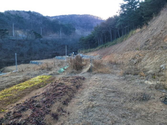 전라남도 광양시 봉강면 부저리 336-25 전 경매 사진 30