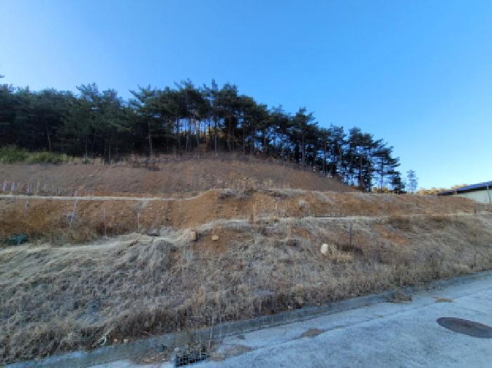 전라남도 광양시 봉강면 부저리 336-25 전 경매 사진 31
