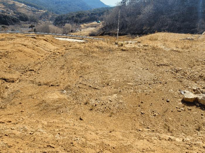 전라남도 광양시 봉강면 부저리 336-25 전 경매 사진 8