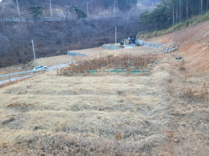 전라남도 광양시 봉강면 부저리 336-28 전 경매 사진 23