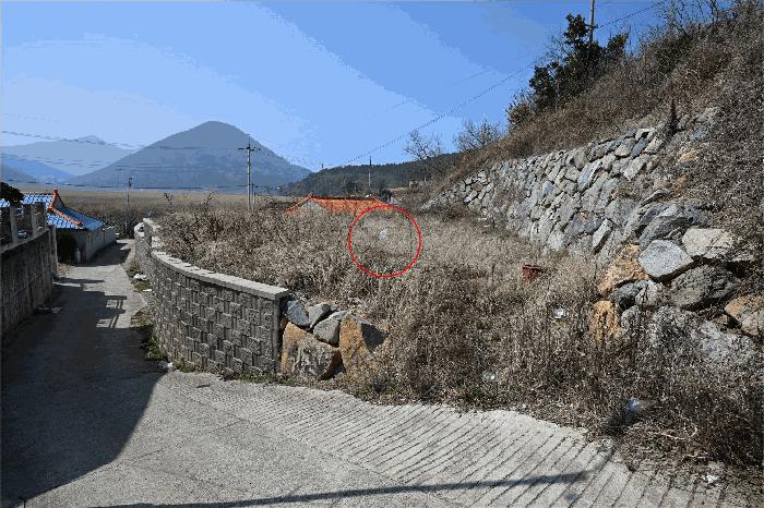 전라남도 여수시 돌산읍 평사리 산269 임야 경매 사진 1