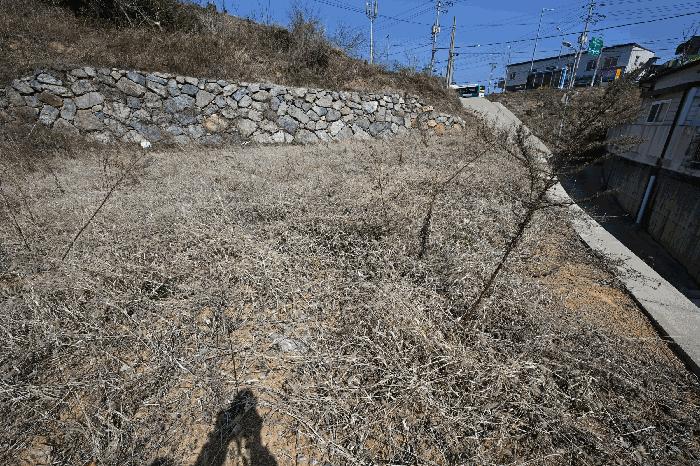 전라남도 여수시 돌산읍 평사리 산269 임야 경매 사진 4