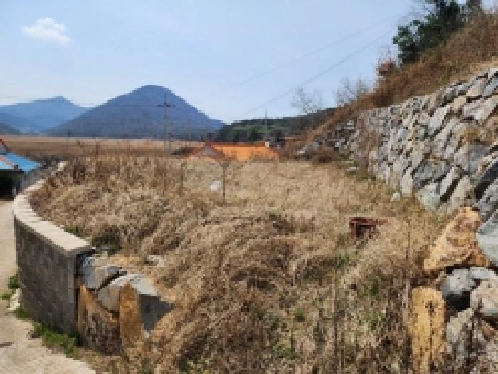 전라남도 여수시 돌산읍 평사리 산269 임야 경매 사진 6
