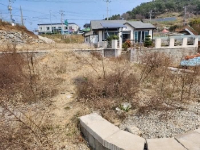 전라남도 여수시 돌산읍 평사리 산269 임야 경매 사진 8