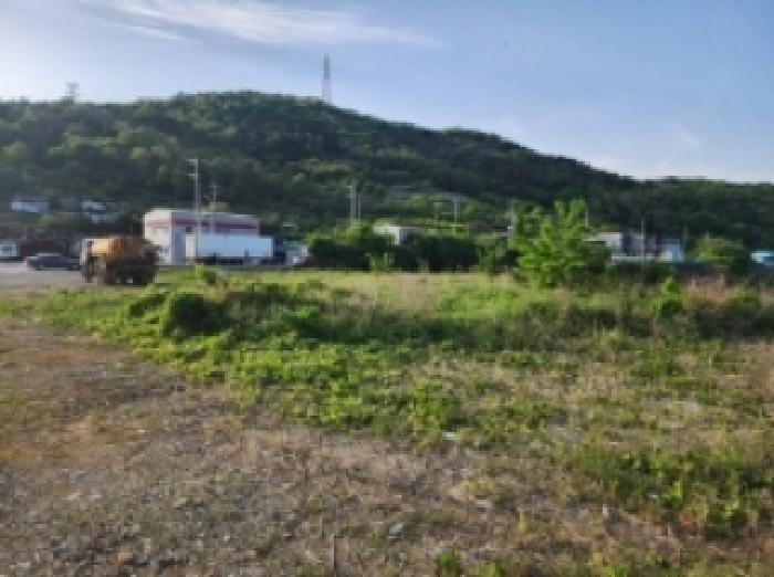 전라남도 여수시 상암동 867 답 경매 사진 20