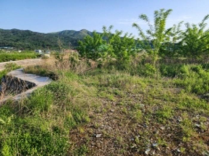 전라남도 여수시 상암동 867 답 경매 사진 27