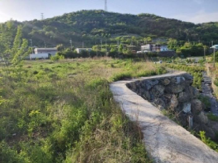 전라남도 여수시 상암동 867 답 경매 사진 28