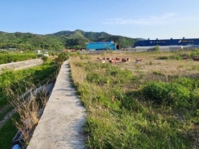 전라남도 여수시 상암동 867 답 경매 사진 31