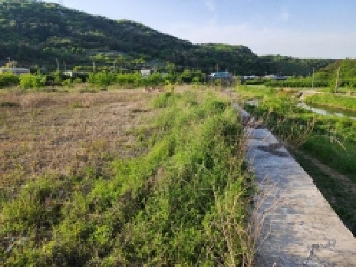전라남도 여수시 상암동 867 답 경매 사진 32