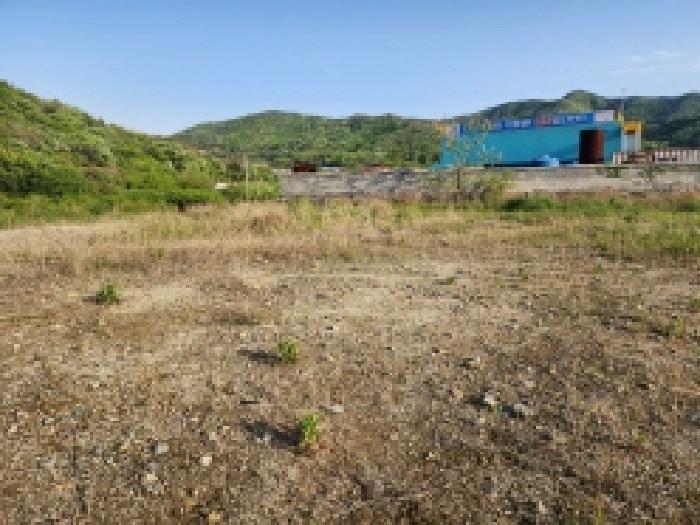 전라남도 여수시 상암동 867 답 경매 사진 36