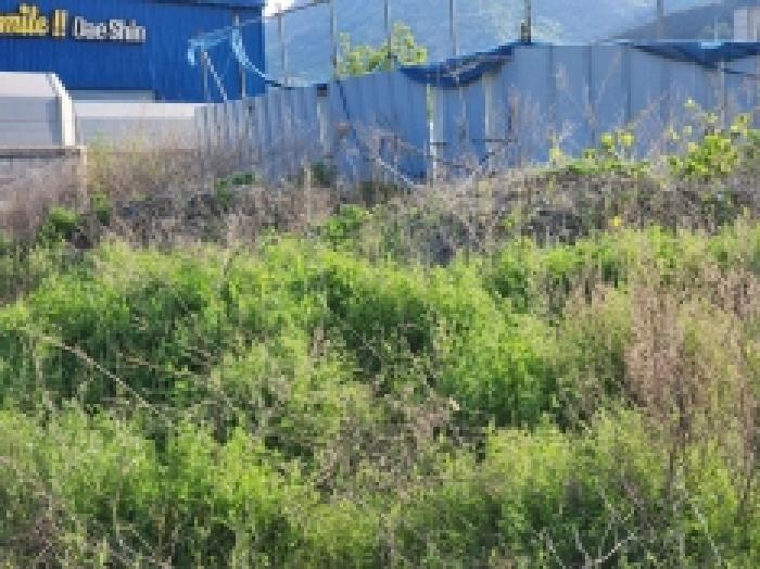전라남도 여수시 상암동 867 답 경매 사진 40