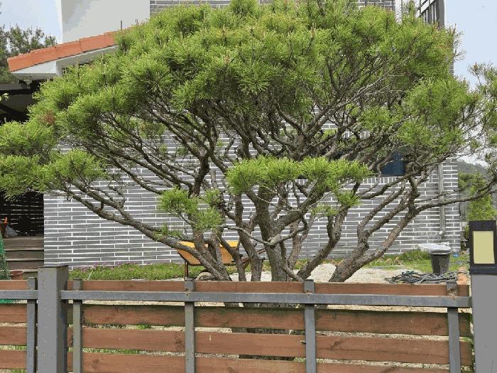 전라남도 여수시 상암동 867 답 경매 사진 9