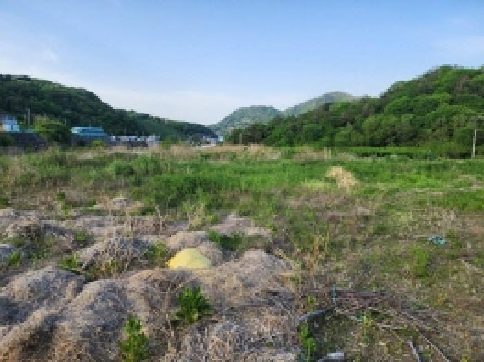 전라남도 여수시 화양면 창무리 504-3 주택 경매 사진 22