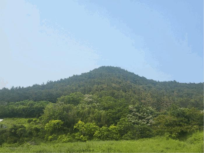 전라남도 여수시 임야