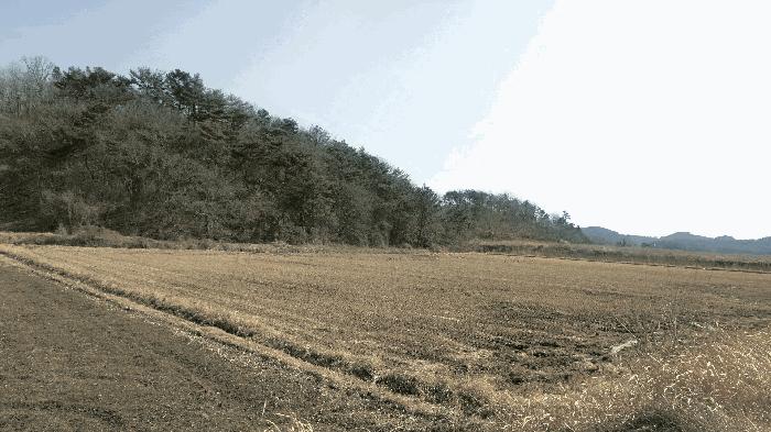 경상남도 하동군 진교면 양포리 20-18 답 경매 사진 1
