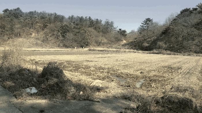 경상남도 하동군 진교면 양포리 20-18 답 경매 사진 4