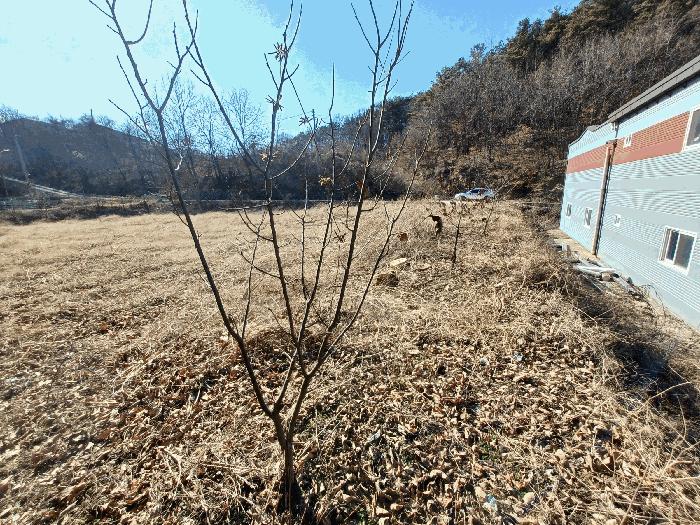 경상남도 산청군 금서면 신아리 1000-3 답 경매 사진 2