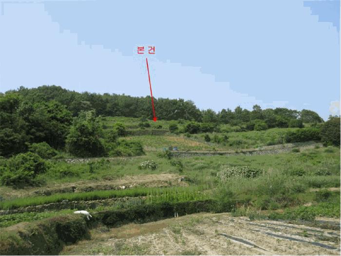 전라남도 여수시 화양면 서촌리 산228 임야 경매 사진 3