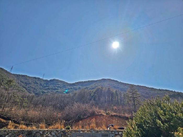 경상남도 산청군 단성면 자양리 561-11 도로 경매 사진 17
