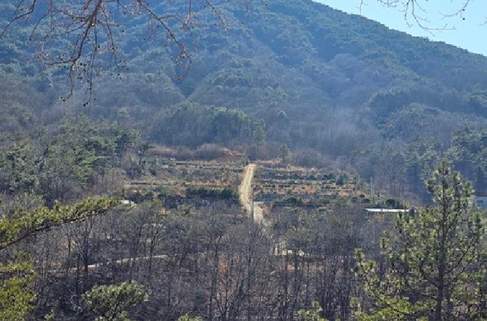 경상남도 산청군 단성면 자양리 561-11 도로 경매 사진 18
