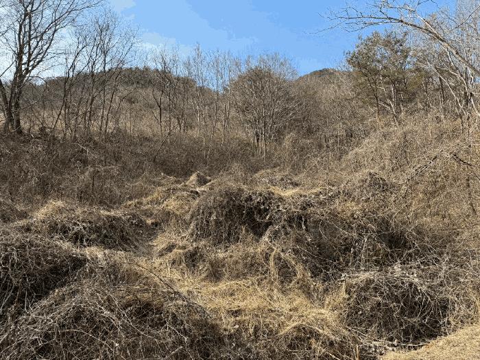 경상남도 산청군 단성면 자양리 561-11 도로 경매 사진 9