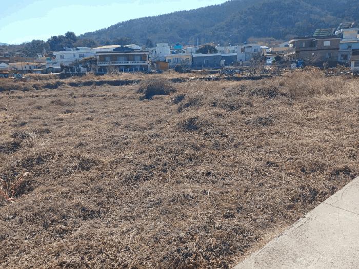 경상남도 남해군 이동면 무림리 1027-2 답 경매 사진 3