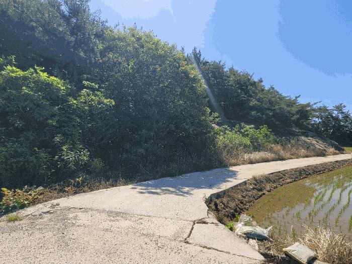 전라남도 고흥군 임야