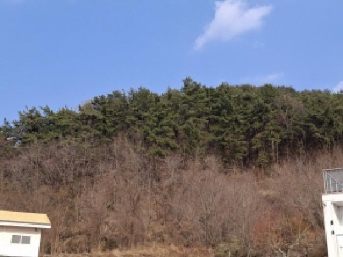 경상남도 사천시 백천동 산68-13 임야 경매 사진 9