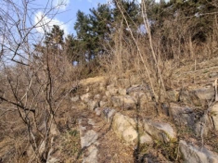 경상남도 사천시 백천동 산69 임야 경매 사진 10