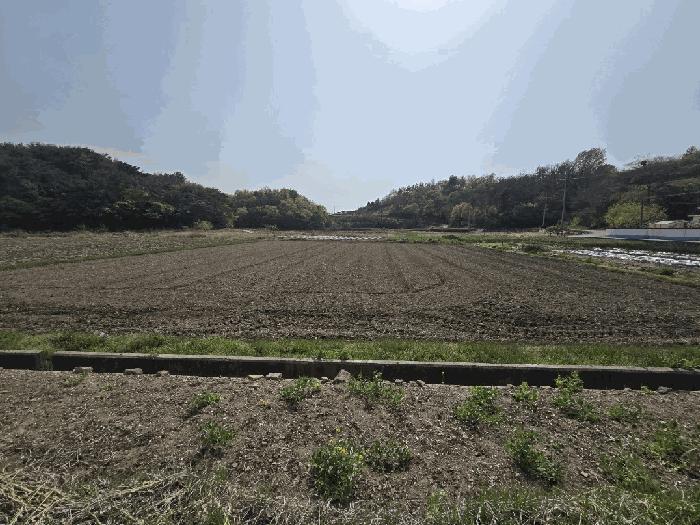 경상남도 하동군 금성면 갈사리 930-1 답 경매 사진 1