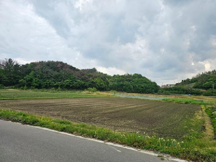 경상남도 하동군 금성면 갈사리 930-1 답 경매 사진 5
