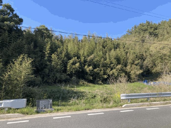 전라남도 무안군 몽탄면 이산리 424 대지 경매 사진 12