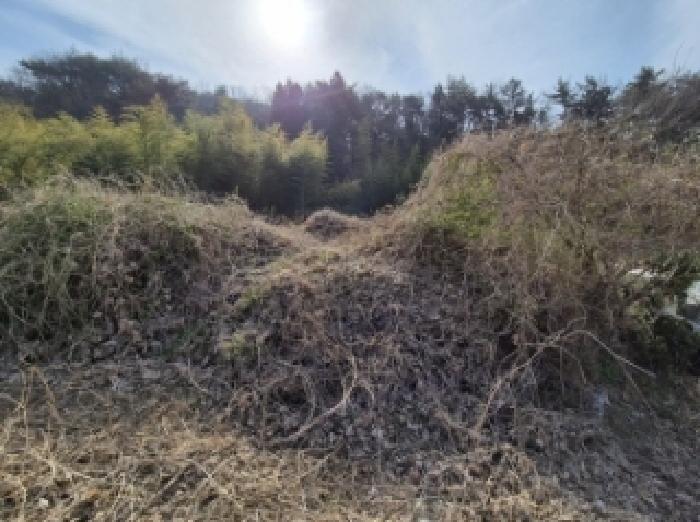 경상남도 고성군 하이면 봉현리 99 답 경매 사진 19