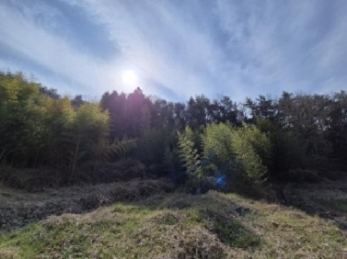 경상남도 고성군 하이면 봉현리 99 답 경매 사진 28