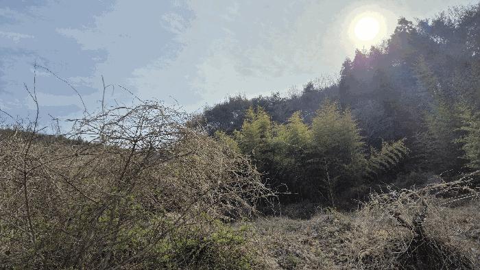 경상남도 고성군 하이면 봉현리 99 답 경매 사진 8