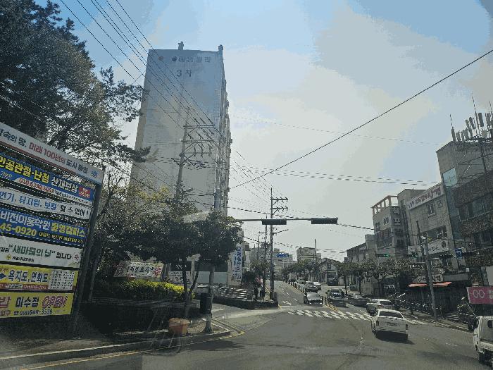 경상남도 통영시 산양읍 풍화리 산170 임야 경매 사진 2