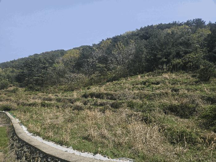 경상남도 통영시 산양읍 풍화리 산170 임야 경매 사진 7