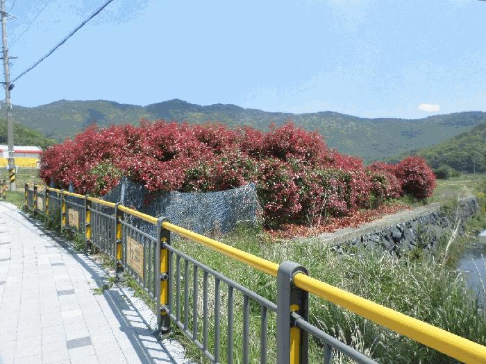 경상남도 거제시 사등면 창호리 1009 전 경매 사진 3