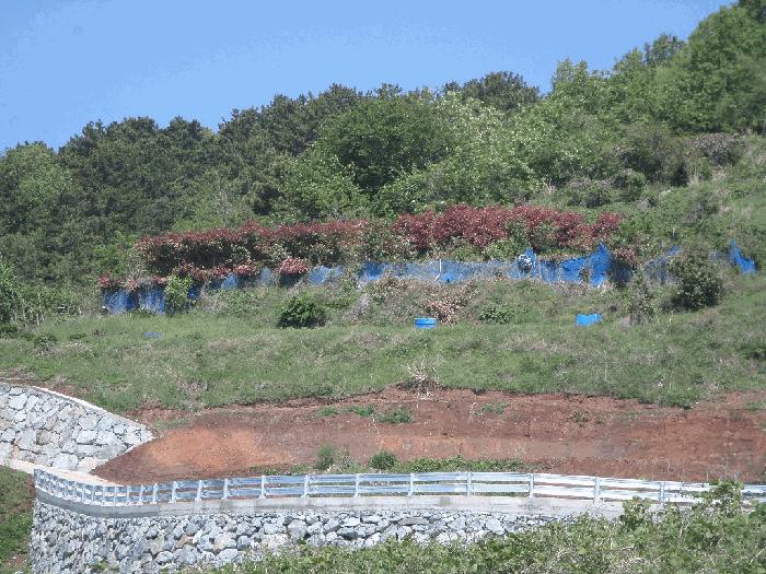경상남도 거제시 사등면 창호리 1009 전 경매 사진 4