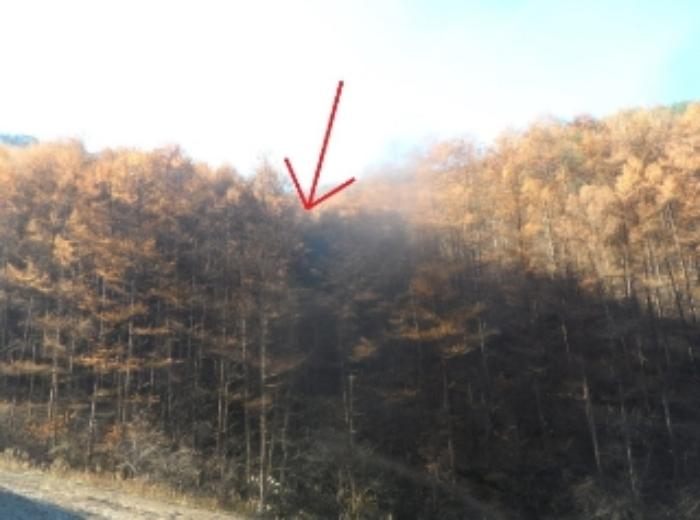 강원특별자치도 평창군 미탄면 율치리 6 전 경매 사진 18