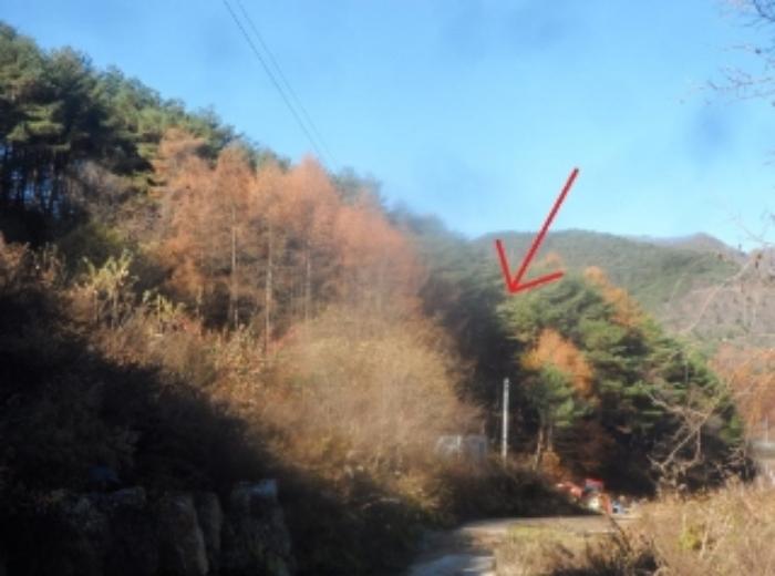 강원특별자치도 평창군 미탄면 율치리 9 전 경매 사진 20