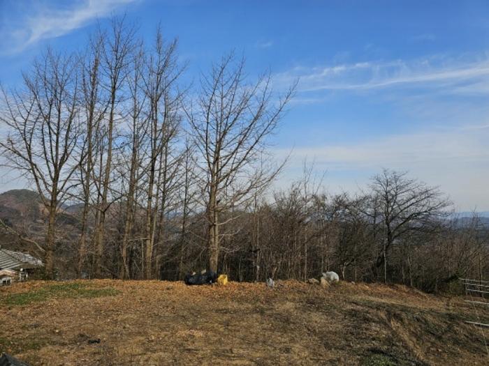 강원특별자치도 영월군 남면 토교리 648 전 경매 사진 5