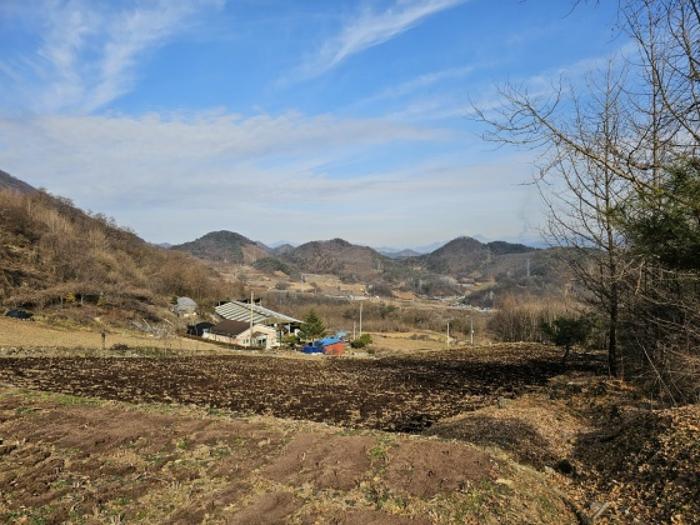 강원특별자치도 영월군 남면 토교리 914 전 경매 사진 7