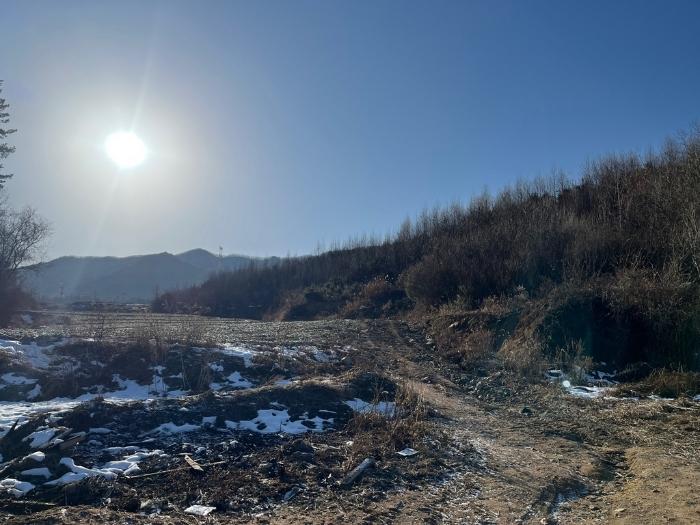 강원특별자치도 평창군 용평면 재산리 1447-10 임야 경매 사진 1