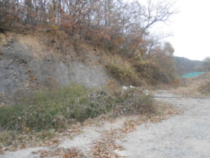 충청북도 진천군 초평면 연담리 산71-4 임야 경매 사진 11